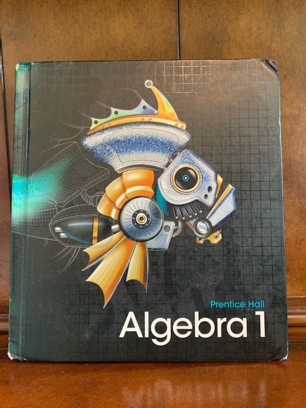 Algebra 1 book